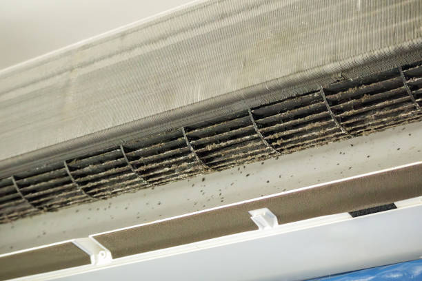 Best Affordable Air Duct Cleaning  in Coing, AL